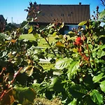 Maison Terra Nova