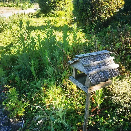 Maison Terra Nova Panzió