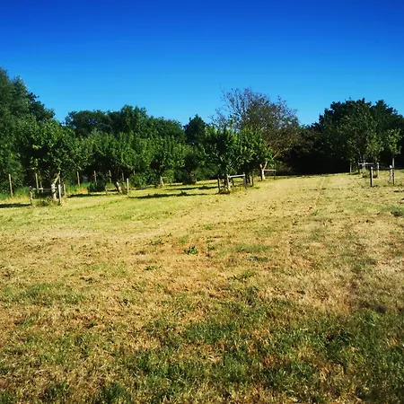 Maison Terra Nova Panzió Réty