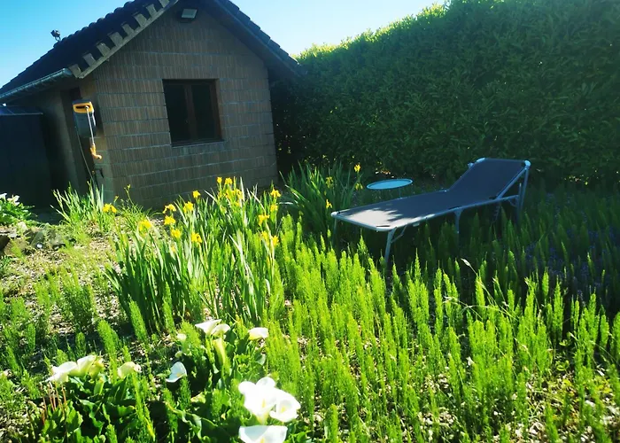 Maison Terra Nova Bed & Breakfast