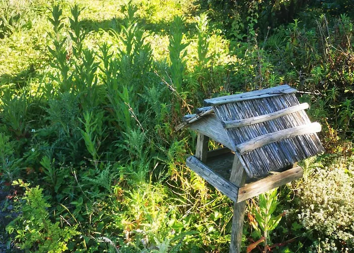 Maison Terra Nova Bed & Breakfast